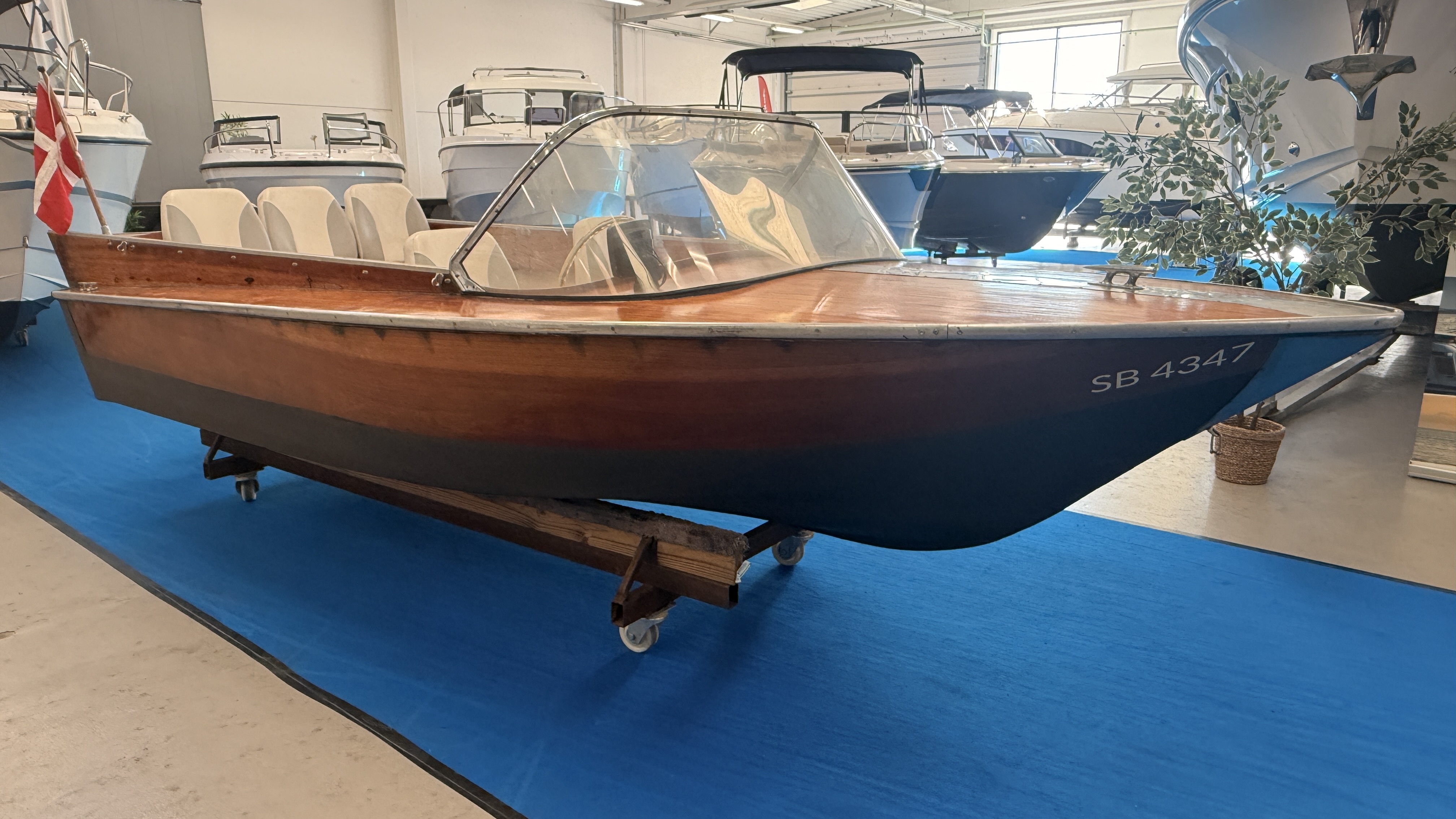 IMG 4238