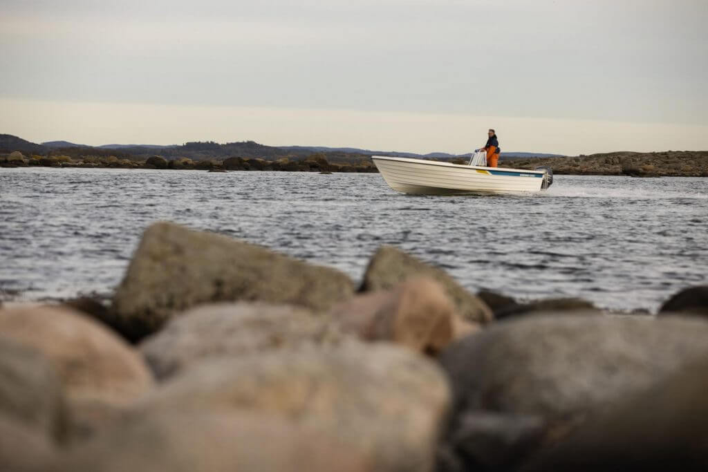 Cremo 550 Sc IL 6228 1024X683