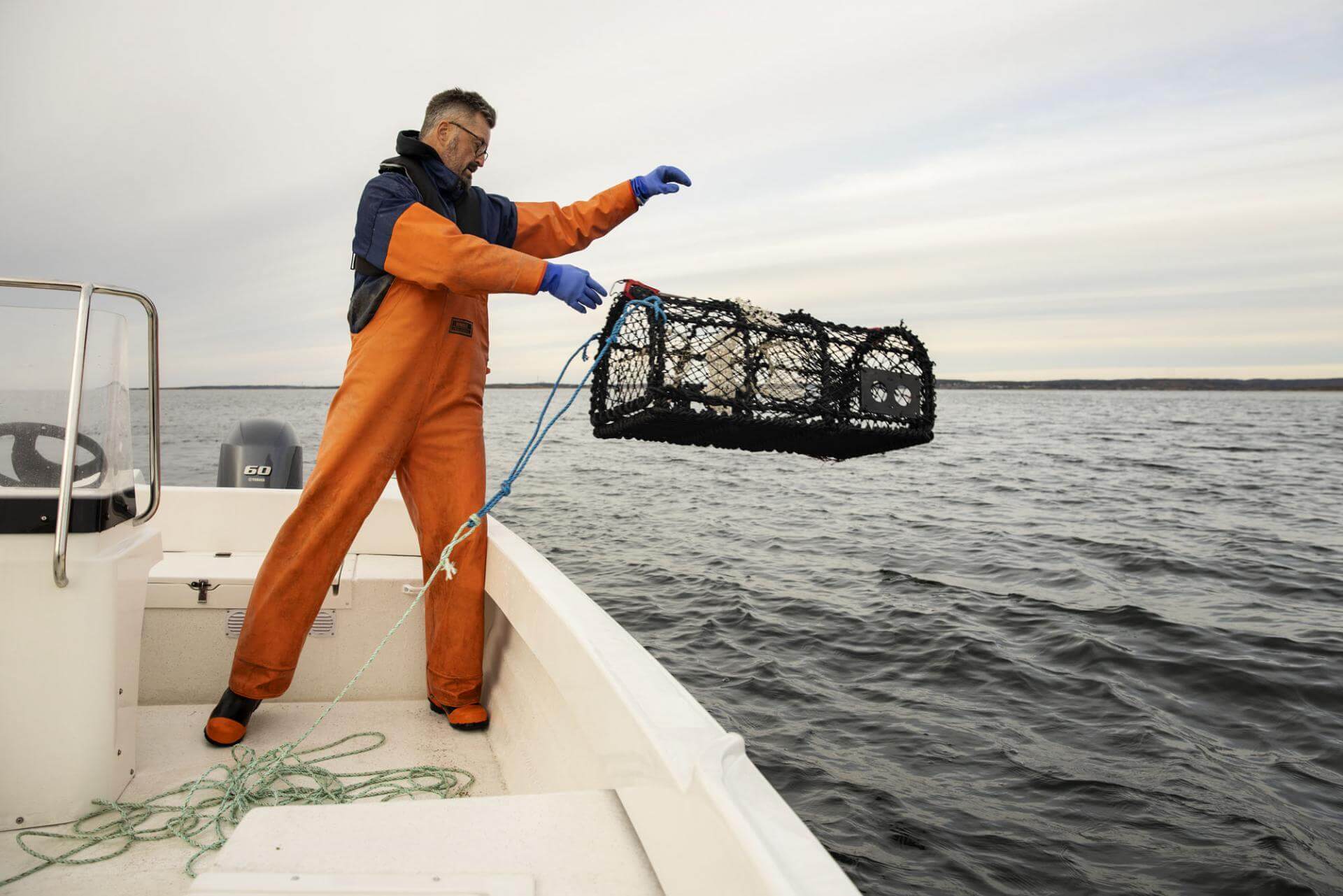 Cremo 550 Sc IL 6341 1