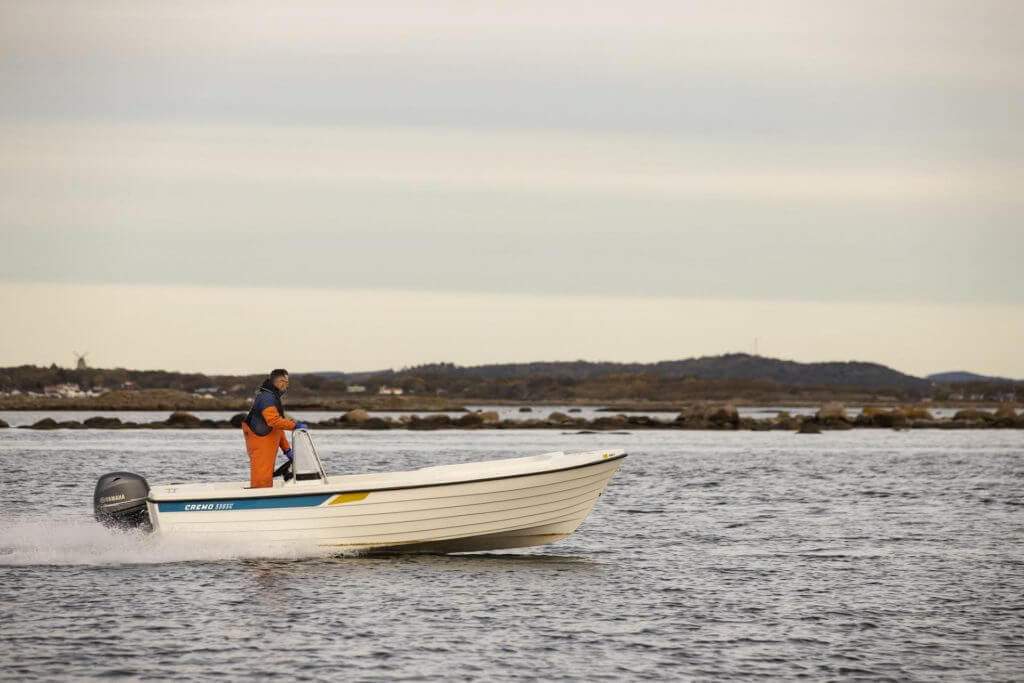 Cremo 550 Sc IL 6243 1024X683